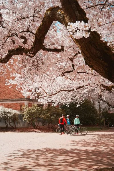 fietsmerken verkooptargets