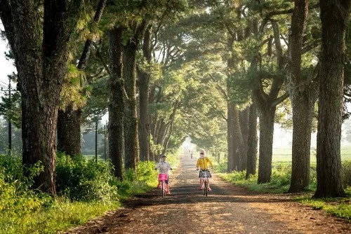 Branchemonitor fietsenbranche